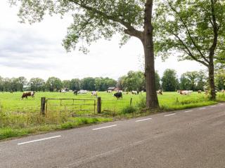 Cozy Apartment in Enschede near Forest - 2
