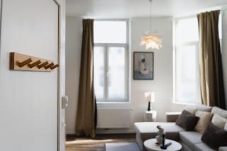 Lovely 1BR & 1LR Apartment, Only 15 Min Walk to City Center - Gand - 6