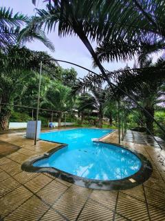 Vantara jungle stay - 7