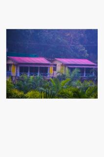 Vantara jungle stay - 6