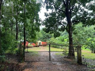 Vantara jungle stay - 5