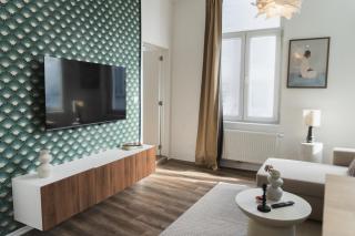 Lovely 1BR & 1LR Apartment, Only 15 Min Walk to City Center - Gand - 9