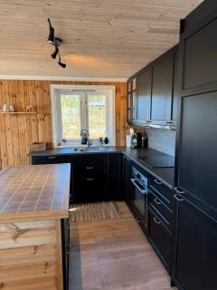 Beautiful charming cottage near Trysil - 6