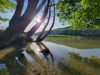 Garden studio with kitchenette - 4