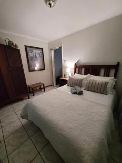 Dutch on Tecoma, Wonderboom, Pretoria - 0