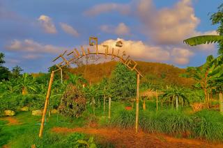 Greenheart Garden View Camp Phuket - 6