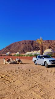 Bilal luxury camp - 7