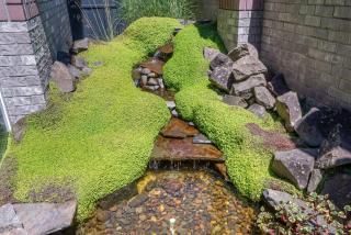 Lincoln Sands Oceanfront Resort, an Ascend Collection Hotel - 7