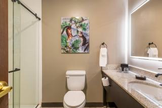 The Hotel Saratoga, an Ascend Collection Hotel - 3