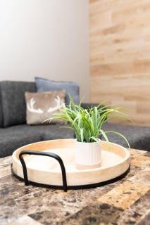 Country Inn & Suites by Radisson, Prairie du Chien - 4