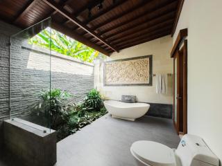 The Green Lagoon! Two Bedroom Private Pool Villa - 4