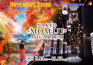 2LDK,75 square meters,6pp,Projector,QuietHome,Shinagawa Area - 5