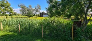 Les Sablines - T2 avec terrasse et parking 700m de l'océan - bébé bienvenu - 8