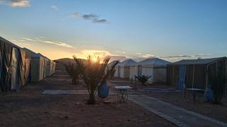 Desert Camel Trek - 2