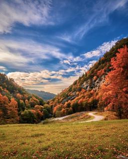 Cozy Swiss Retreat - Scenic Swiss Villa Close to Bern & Interlaken - 7