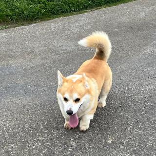 La Casa di Bianca - 9