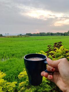 Paddy Villea with 5 Bedrooms Penang - 7