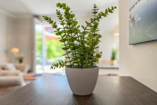 Baltischer Hof Wohnung 04 - 1