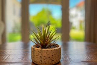 Baltischer Hof Wohnung 13 - 6