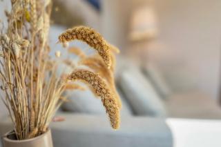 Baltischer Hof Wohnung 46 - 7