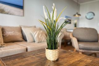 Baltischer Hof Wohnung 10 - 8