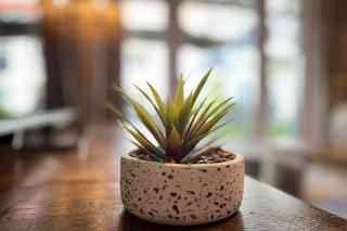 Baltischer Hof Wohnung 10 - 6