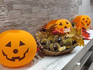 Carpe Diem Casa Vacanze - 8