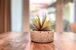 Baltischer Hof Wohnung 11 - 8