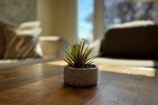 Baltischer Hof Wohnung 28 - 6