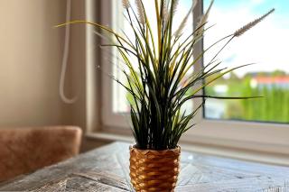 Baltischer Hof Wohnung 27 - 9