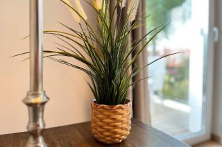 Baltischer Hof Wohnung 27 - 3