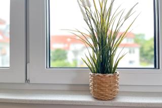 Baltischer Hof Wohnung 45 - 6