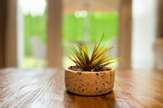 Baltischer Hof Wohnung 6 - 8