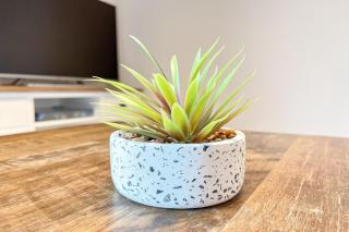 Baltischer Hof Wohnung 60 - 5