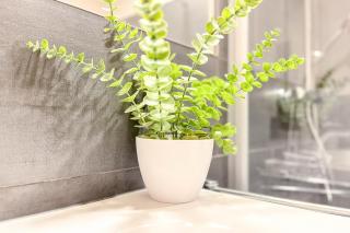 Baltischer Hof Wohnung 60 - 1