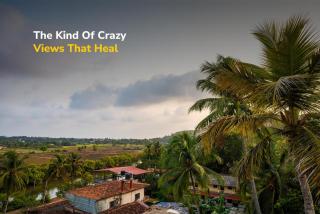 goSTOPS Goa, Baga - 8