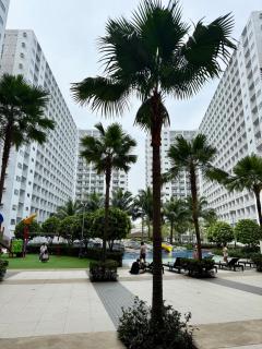 Shore Residences Mall Of Asia Pasay City - 1