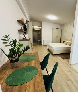 Lazar Studio Apartment - Palas Center - 0