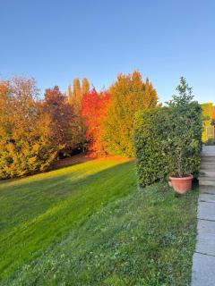 Parco Hotel Sassi - 9