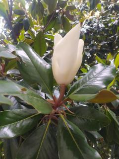 B&B Il Ponticello - 4