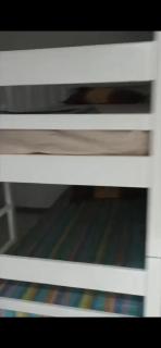 Appartement F3 tigzirt - 9