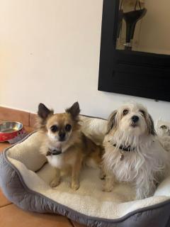 Le Cordonnier d'Autrefois - 15 minutes du Puy du Fou - 4