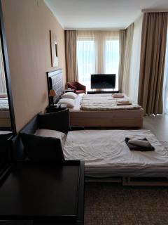 Studio Royal Beach Barcello - 7