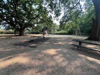 Albert's Cottage, Dorset - 5