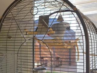 Andela Guesthouse - 1