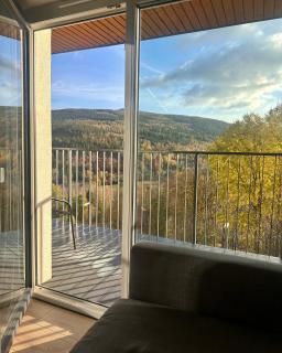 Apartament PlantLux z sauną - 8