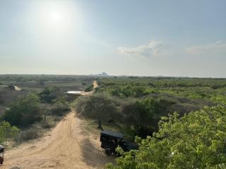 Wild trails -Yala - 0
