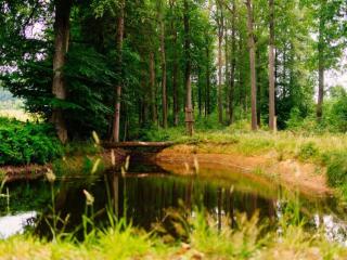 Modern Group Home in Bra - 4