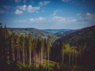 Modern Group Home in Bra - 5