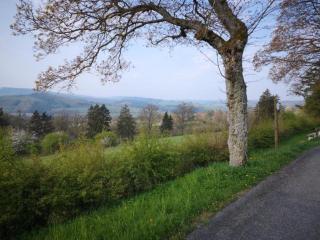 Modern Group Home in Bra - 3